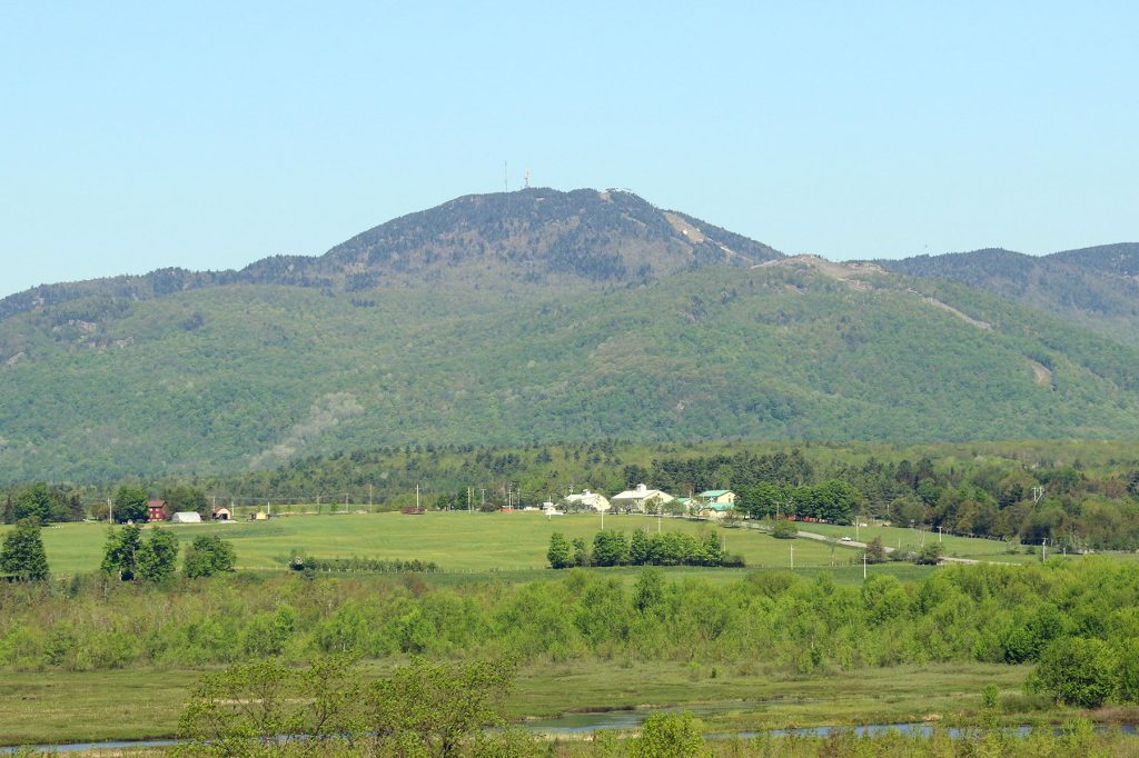 vue-orford-zoom